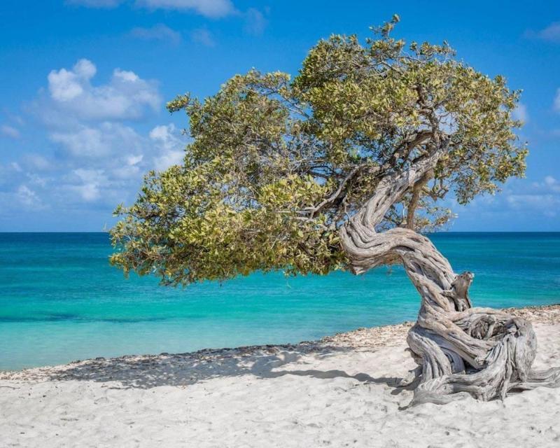 Villa Park Fontein Curacao Luaran gambar
